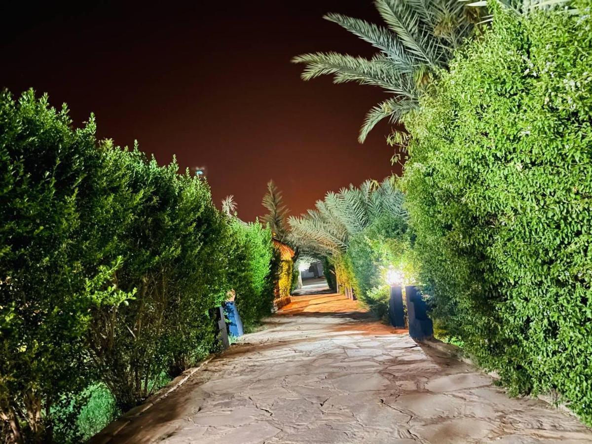 Paradis Touareg زڭورة المظهر الخارجي الصورة