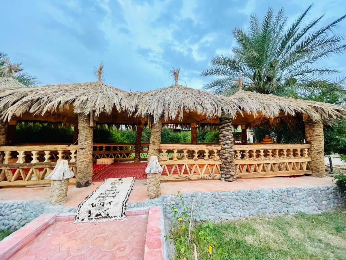 Paradis Touareg زڭورة المظهر الخارجي الصورة