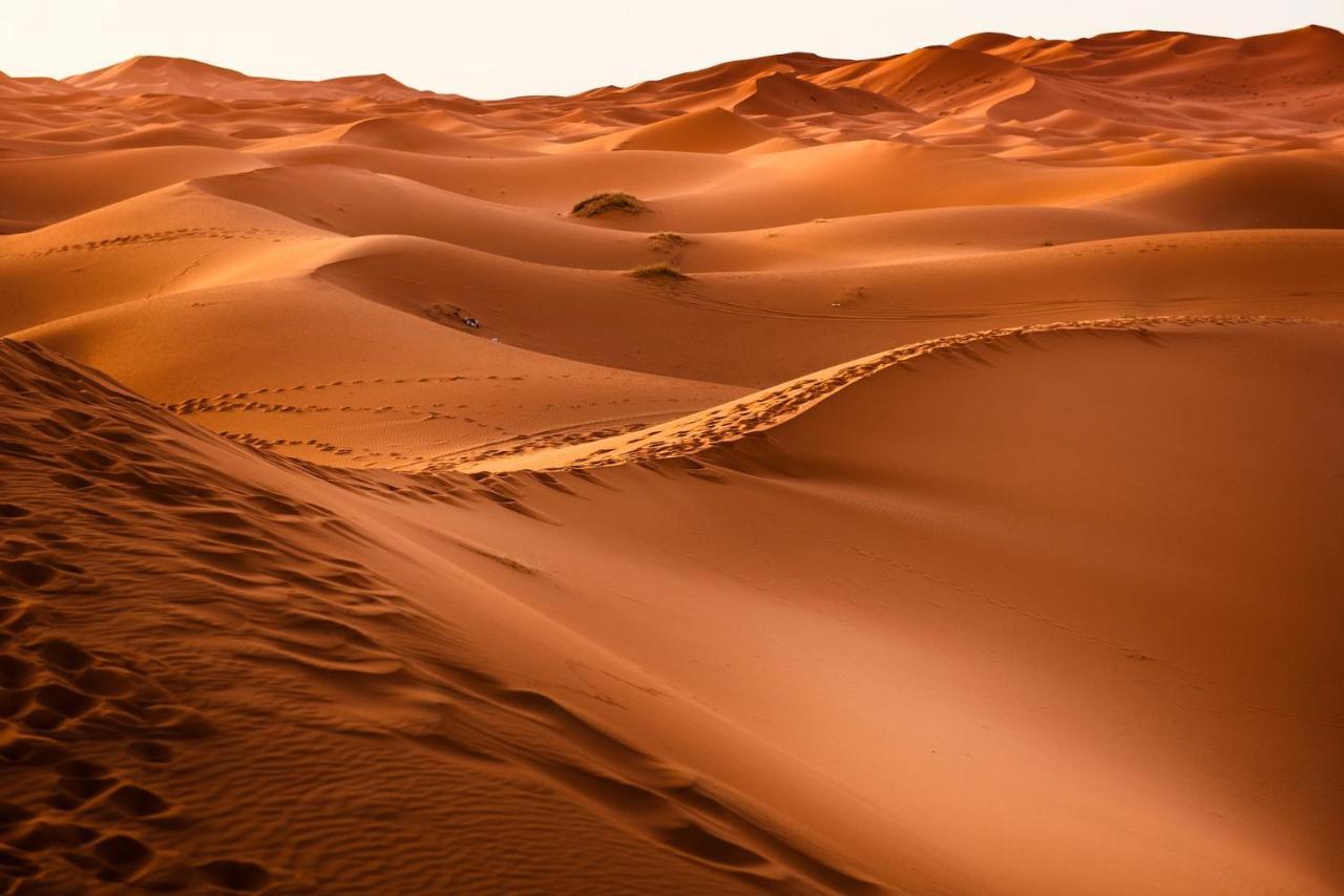 Paradis Touareg زڭورة المظهر الخارجي الصورة