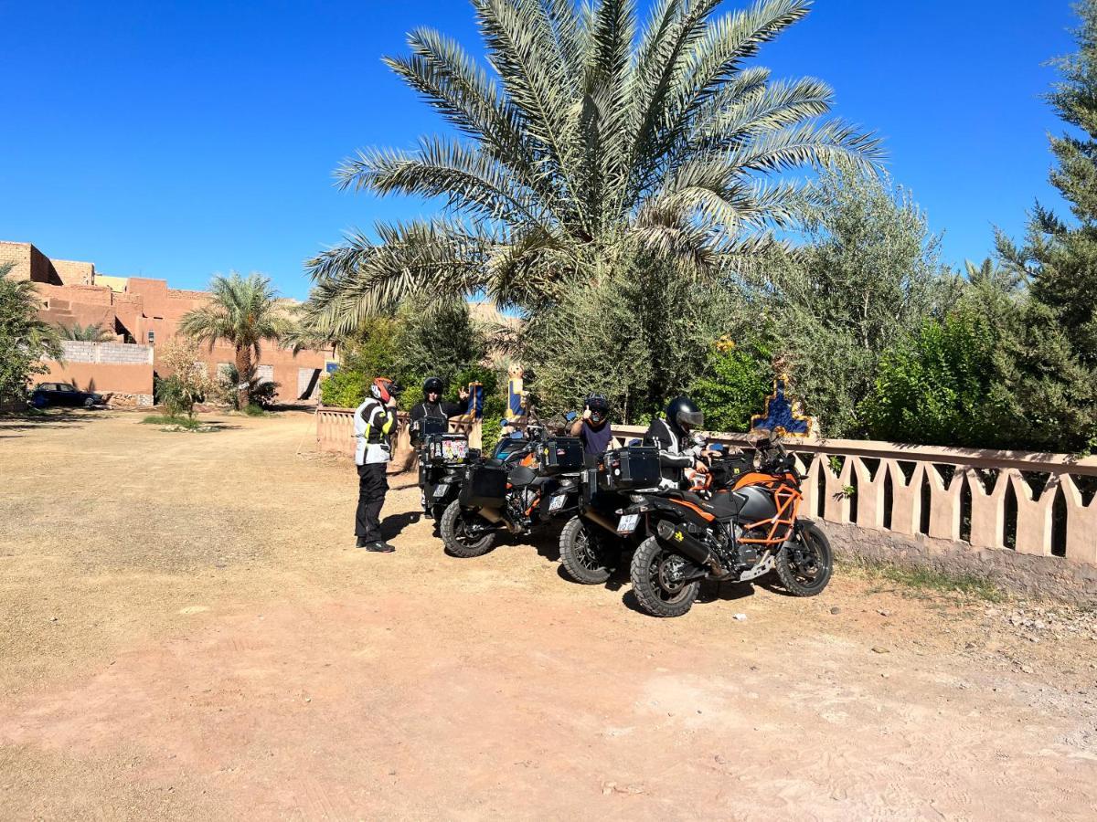 Paradis Touareg زڭورة المظهر الخارجي الصورة