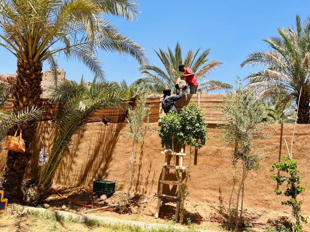 Paradis Touareg زڭورة المظهر الخارجي الصورة