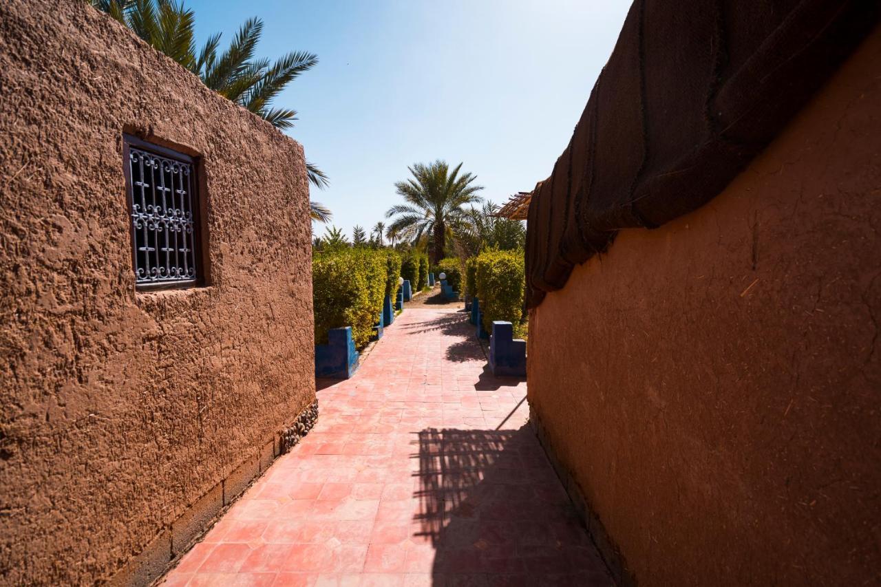 Paradis Touareg زڭورة المظهر الخارجي الصورة